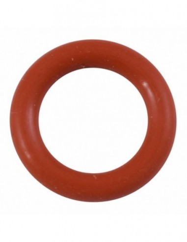 55026024 - O RING FOR STEAM NOZZLE