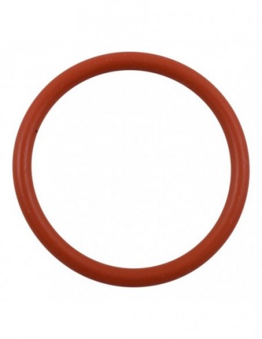55024946 - O RING COFFEE CLUB BREWER