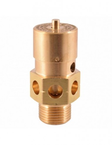 55029038 - CMA CERTIFIED SAFETY VALVE