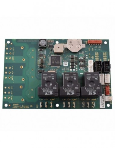 BRAVILOR CHIP AND MAIN BOARD