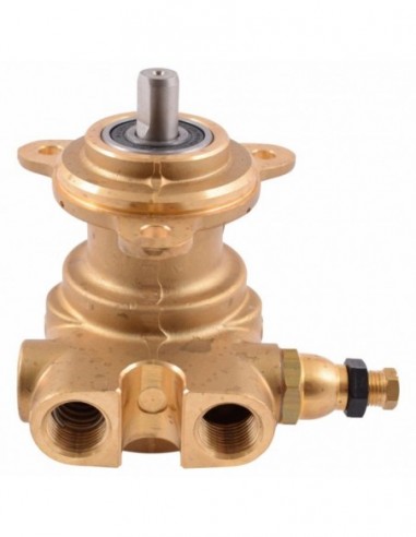 ROTOFLOW SCREW PUMP HEAD 200 L/H -...
