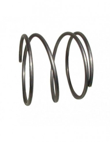 VALVE KNOB SPRING