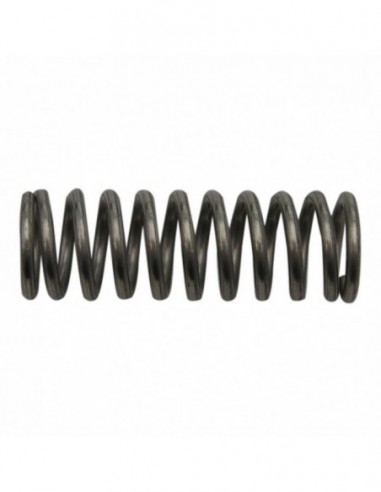 VALVE SPRING INNER