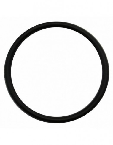 O RING 56.26 X 49.20 - SILICONE