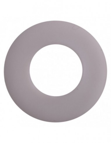 RANCILIO VALVE TEFLON WASHER