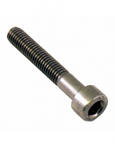 S.S.SCREW TCE M5 X 30