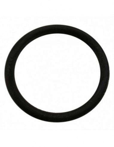 SALT SOFTENER LID O RING