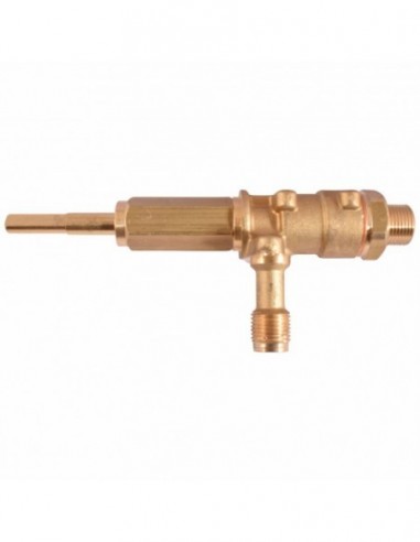 CONTI CC100 STEAM/WATER VALVE - M16