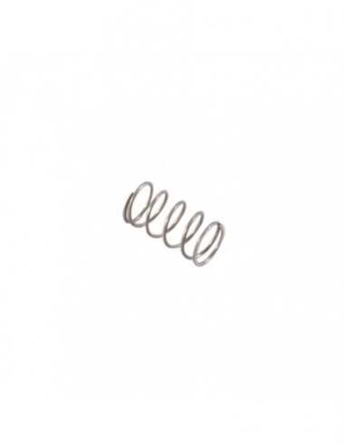 VALVE SPRING
