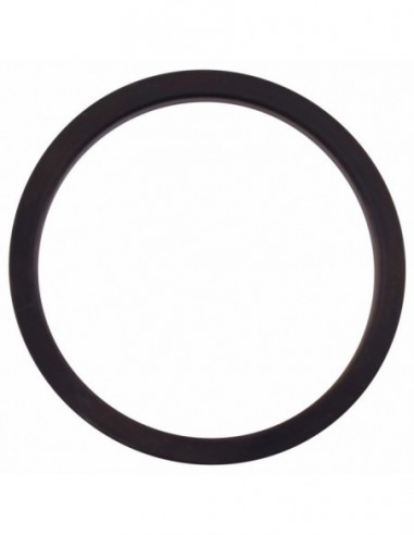 FIORENZATO LEVER GRP SEAL 5.5MM -...