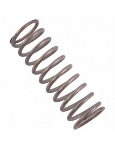 FAEMA INFUSION VALVE SPRING