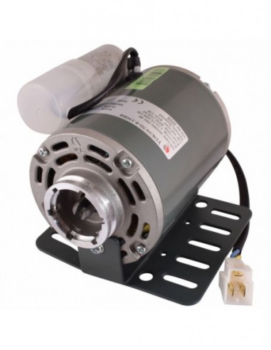 FIORENZATO PUMP MOTOR - ORIGINAL