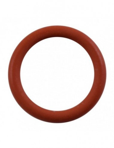 O RING 8.00 X 6.00 - SILICONE