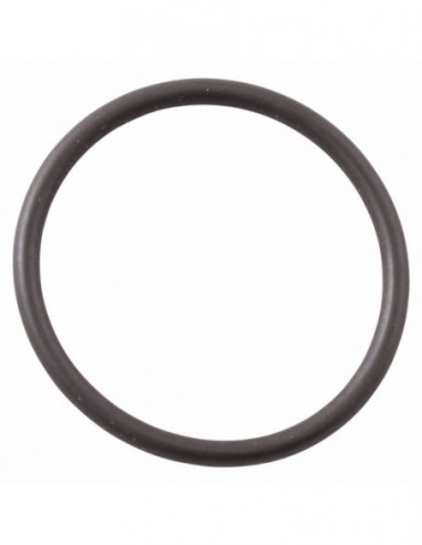 SPAZIALE S5 LEVEL PROBE O RING -...