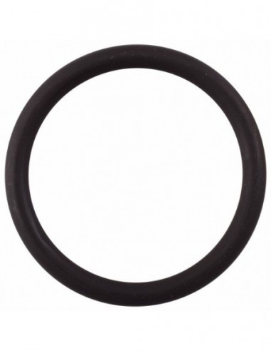 FAEMA E71 ELEMENT GASKET - ORIGINAL