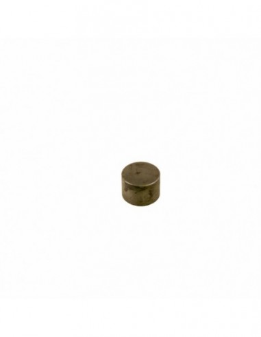 ELEKTRA VALVE CAP